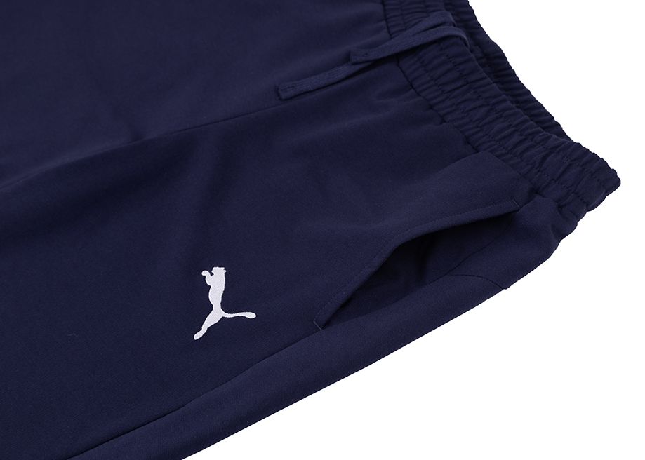 PUMA Pantaloni scurți pentru bărbați teamGOAL Casuals 658608 06