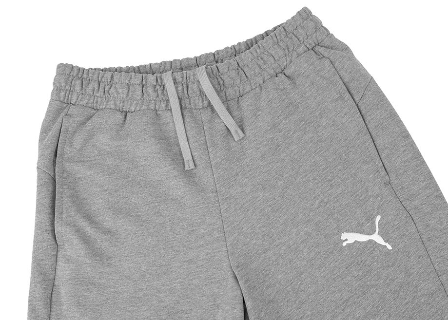 PUMA Pantaloni scurți pentru bărbați teamGOAL Casuals 658608 33