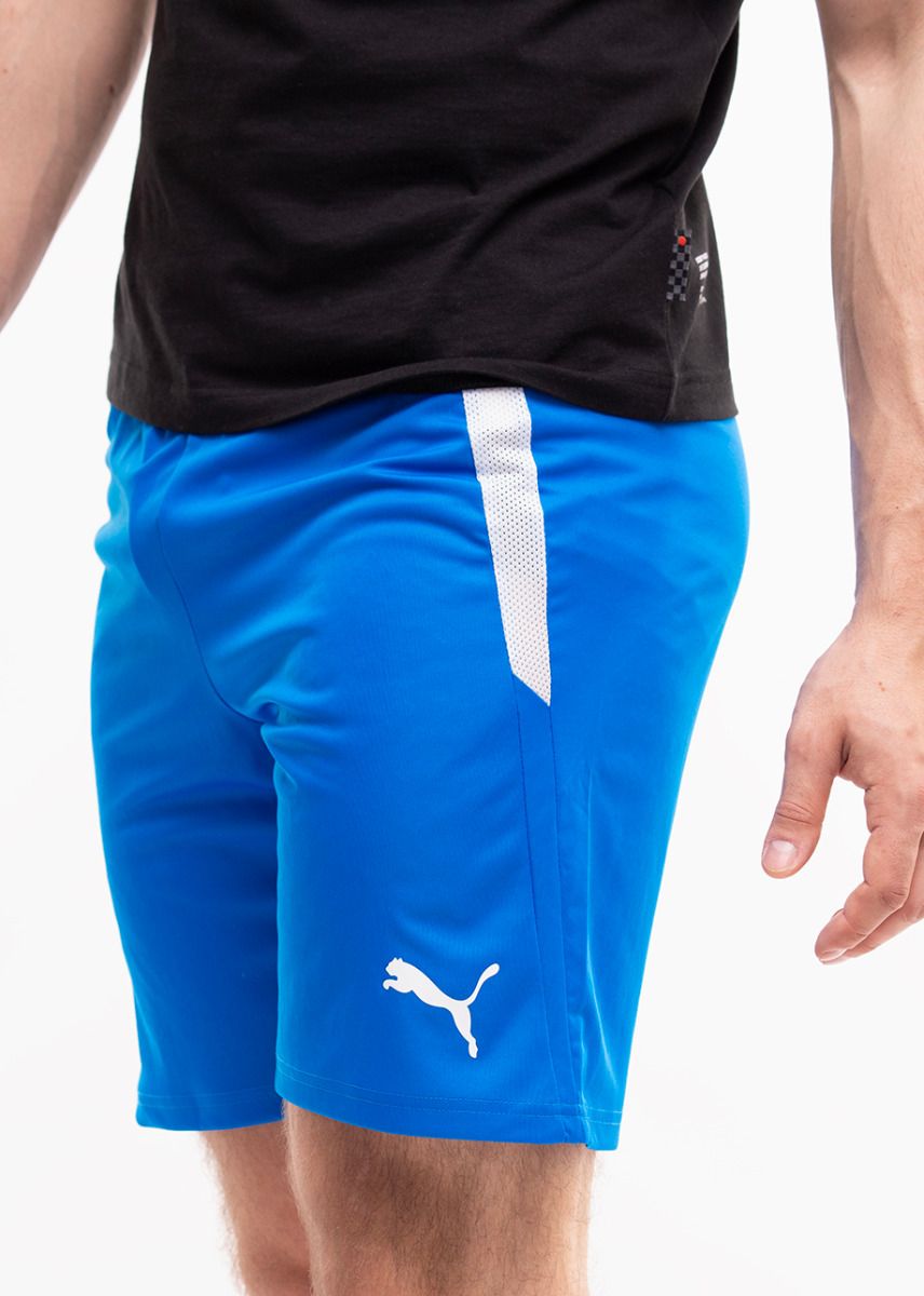 PUMA Pantaloni scurți pentru bărbați teamLIGA 704924 02