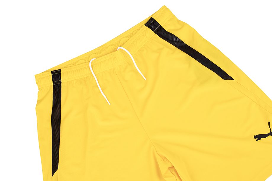 PUMA Pantaloni scurți pentru bărbați teamLIGA 704924 07