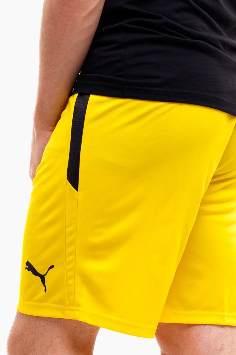 PUMA Pantaloni scurți pentru bărbați teamLIGA 704924 07