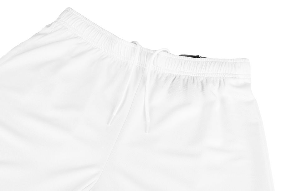 PUMA bărbați pantaloni scurți teamRISE Short 704942 03