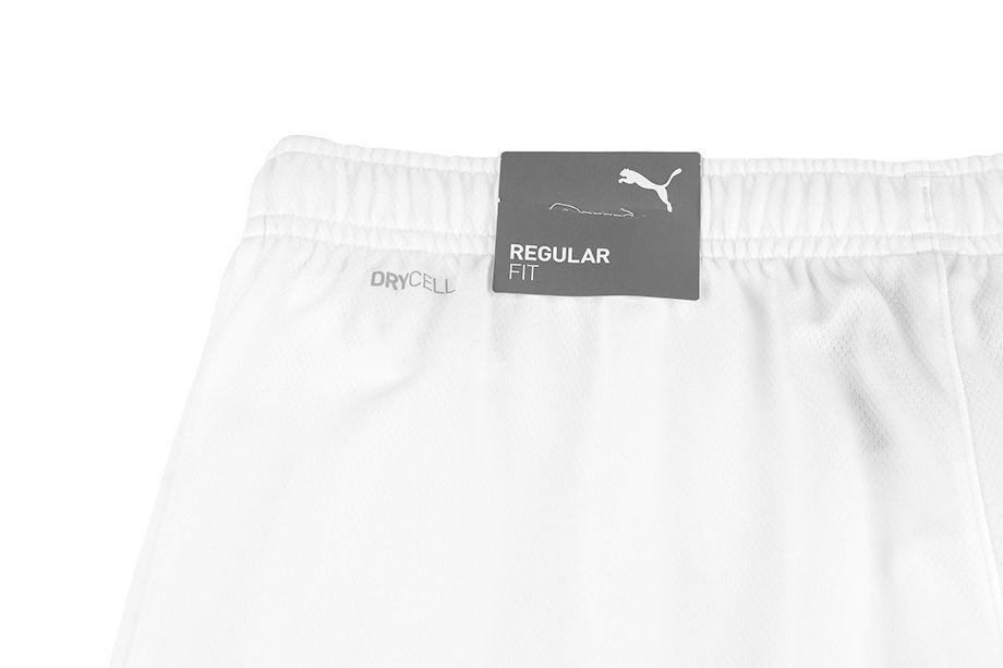 PUMA bărbați pantaloni scurți teamRISE Short 704942 03