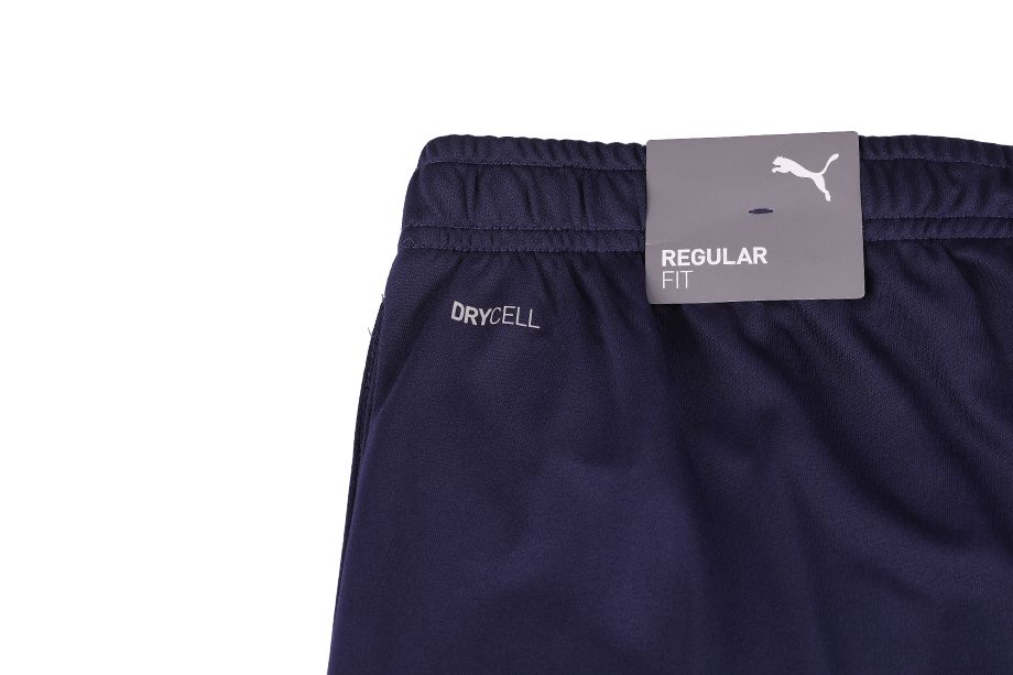 PUMA bărbați pantaloni scurți teamRISE Short 704942 06