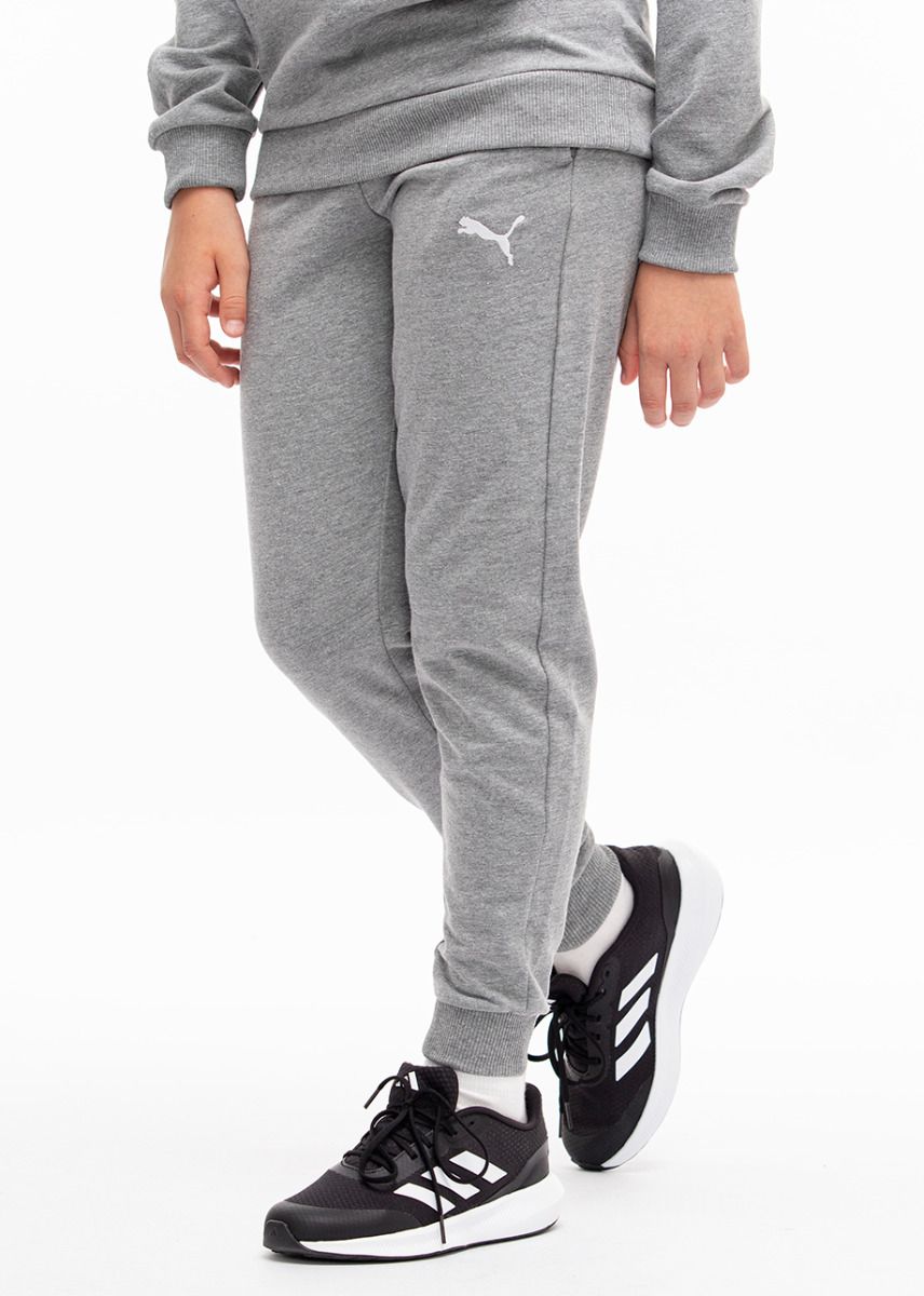 PUMA Pantaloni pentru copii Team Goal 658601 33