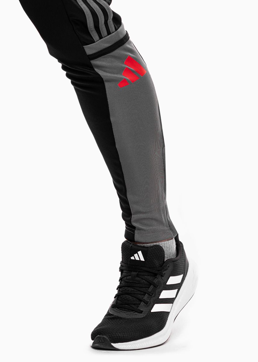 adidas Pantaloni bărbați Squadra 25 Training JD1625