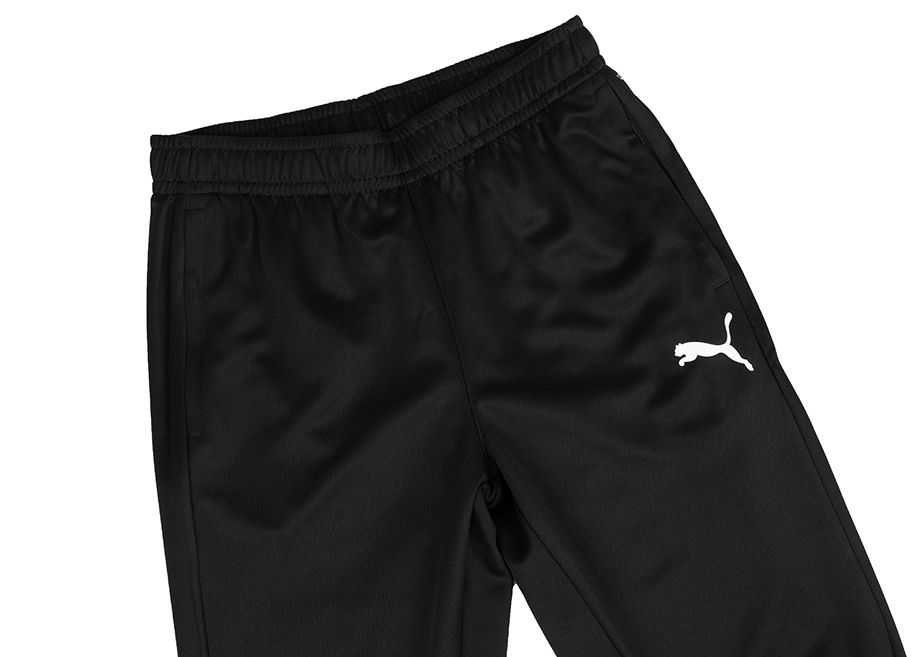 PUMA Pantaloni bărbați Team Goal Training 658639 03 PUMA Pantaloni bărbați Team Goal Training 658639 03