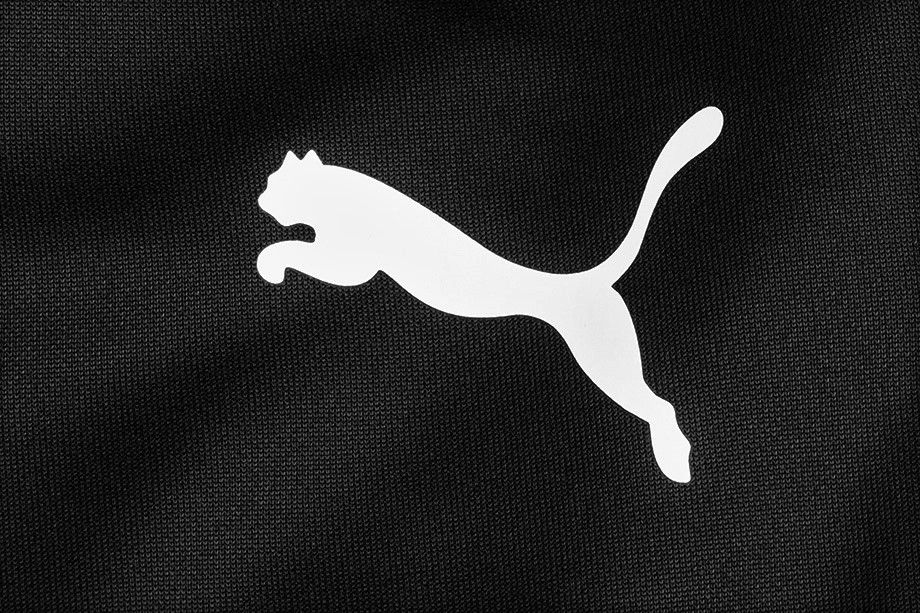 PUMA Pantaloni pentru bărbați teamRISE Poly Training 657390 03 EUR S OUTLET PUMA Pantaloni pentru bărbați teamRISE Poly Training 657390 03 EUR S OUTLET