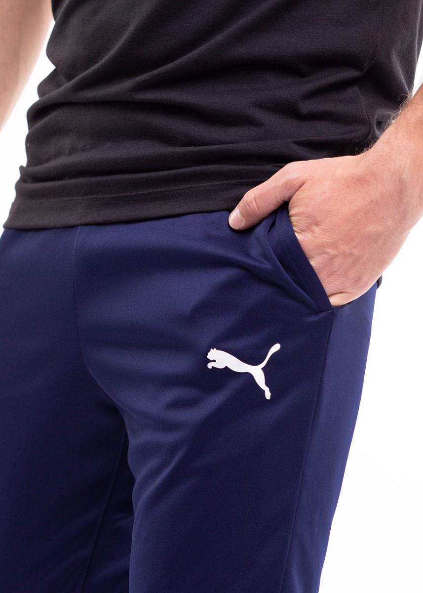 PUMA Pantaloni Bărbați teamRISE Poly Training 657390 06