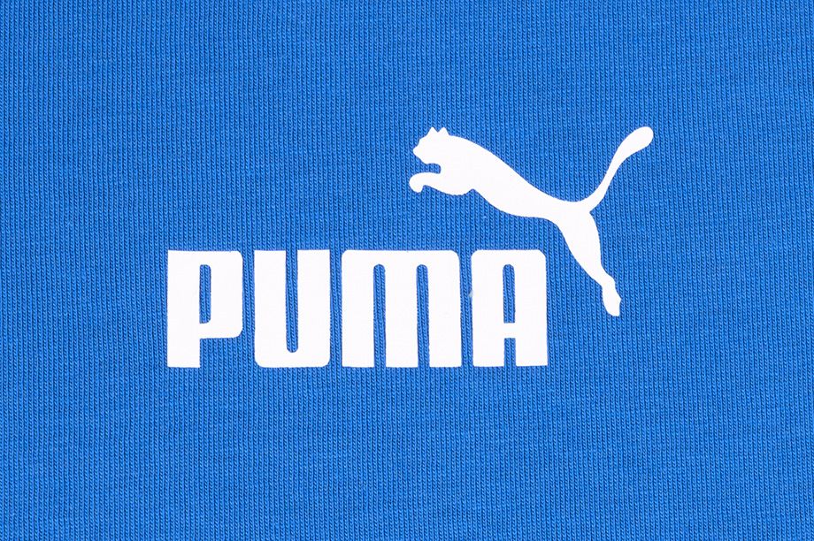 Puma Tricou pentru bărbați Amplified Tee 585778 13
