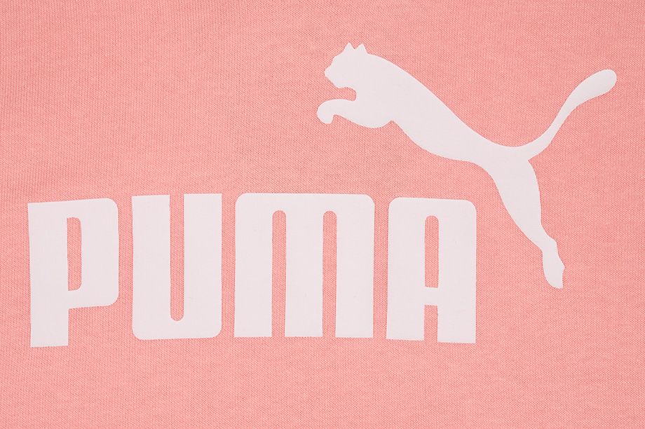 PUMA Bluză Femei Amplified Hoodie TR 585910 26