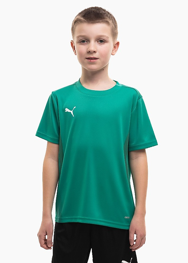 Tricou pentru copii Puma TeamGoal Jersey 658637 05