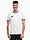 Imaginea variantei de produs Koszulka męska adidas Entrada 26 Jersey JZ2508