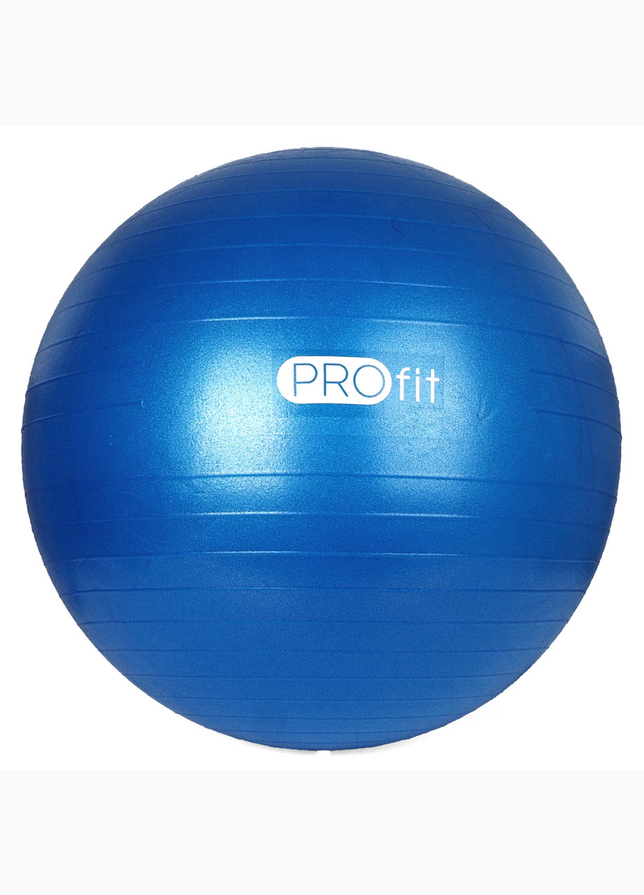 Profit Minge de gimnastică cu pompă 65 cm DK 2102 2 Profit Minge de gimnastică cu pompă 65 cm DK 2102 2