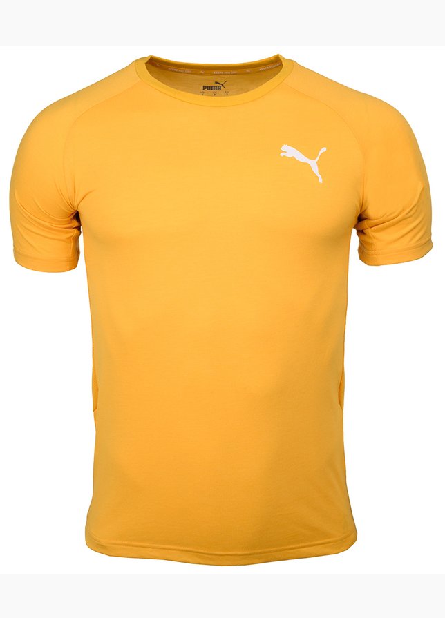 Puma Tricou pentru bărbați Evostripe Lite Tee 581534 25 Puma Tricou pentru bărbați Evostripe Lite Tee 581534 25