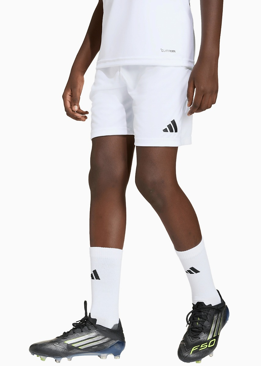 adidas Pantaloni scurți copii Entrada 26 JZ6526