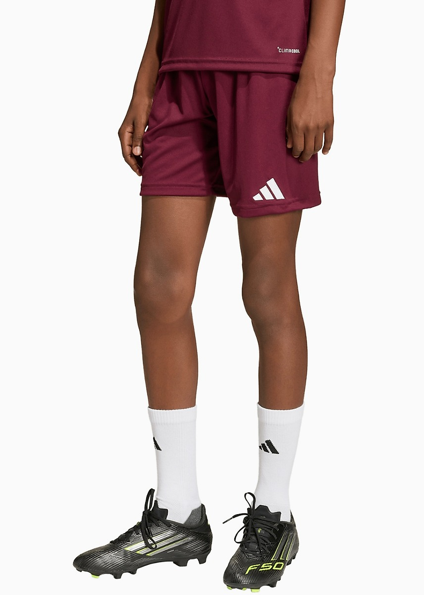 adidas Pantaloni scurți copii Entrada 26 JZ6527